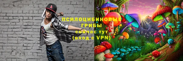 не бодяженный Алзамай