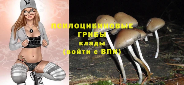 стаф Абинск