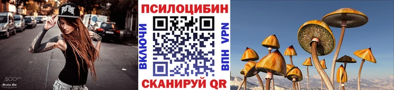Галлюциногенные грибы Psilocybine cubensis  Балаково 